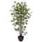 6ft. Potted Bamboo Silk Tree 